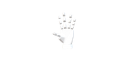 bionic hand